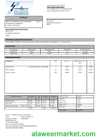 France Energies & Services Régie Municipal d’ Electricité Sarre-Union electricity business utility bill template in Word and PDF formats, fully editable1
